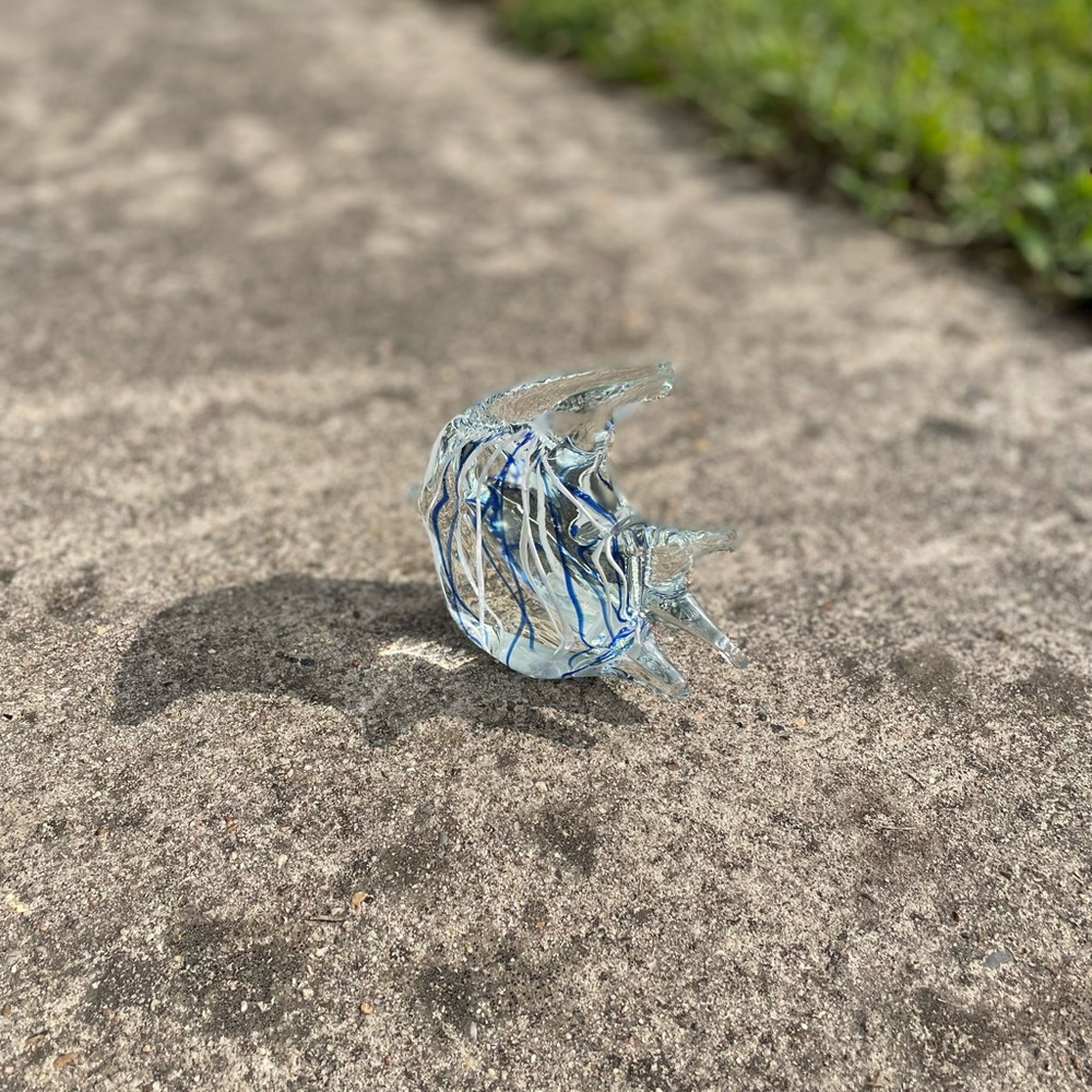 Glass Fish - Picture 4 of 11